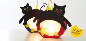 Månekatt
